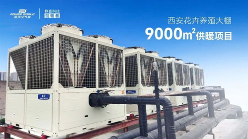 精品案例 派沃空氣能助力花卉養殖大棚9000㎡供暖項目，35臺超低溫熱泵護航冬日花開